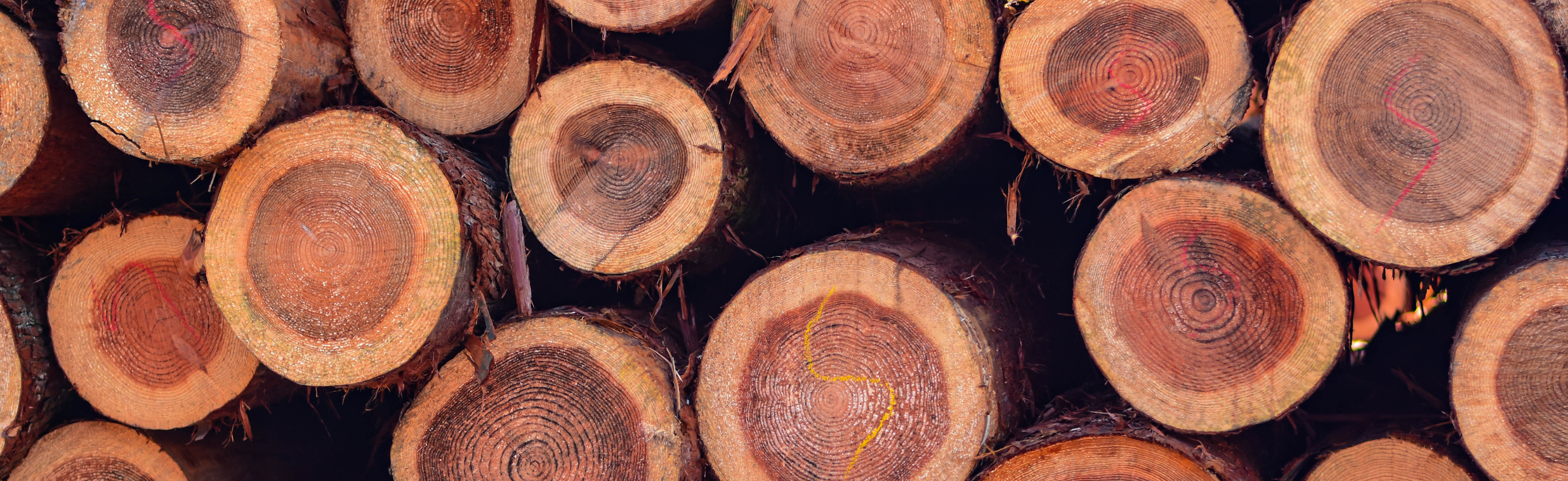 Biomasse Gebäude und Industrie