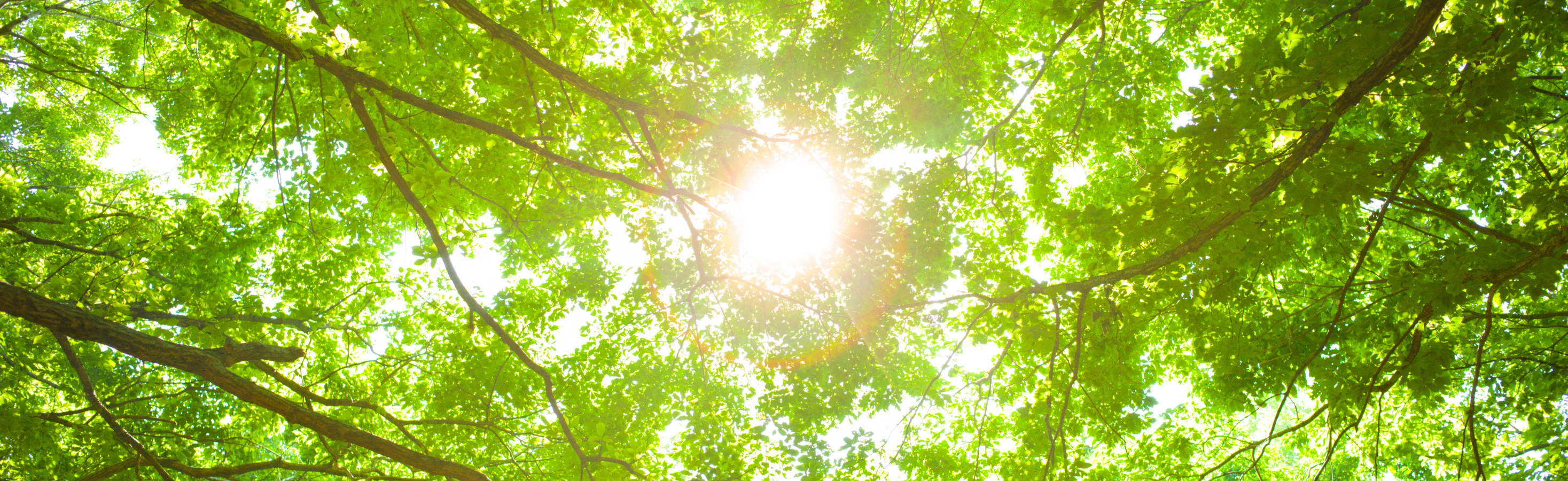 Energy Efficiency First