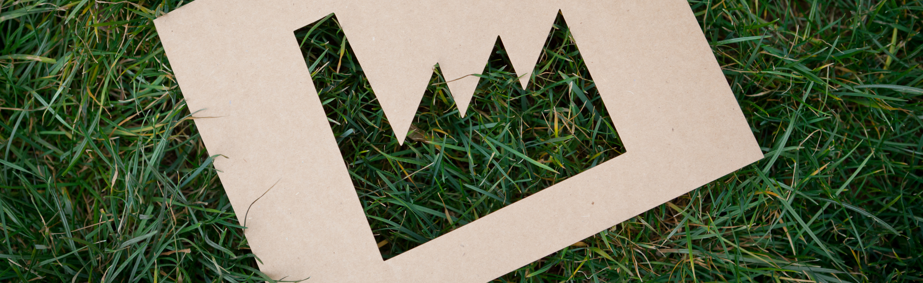 Klimaschutzverträge Weiterentwicklung