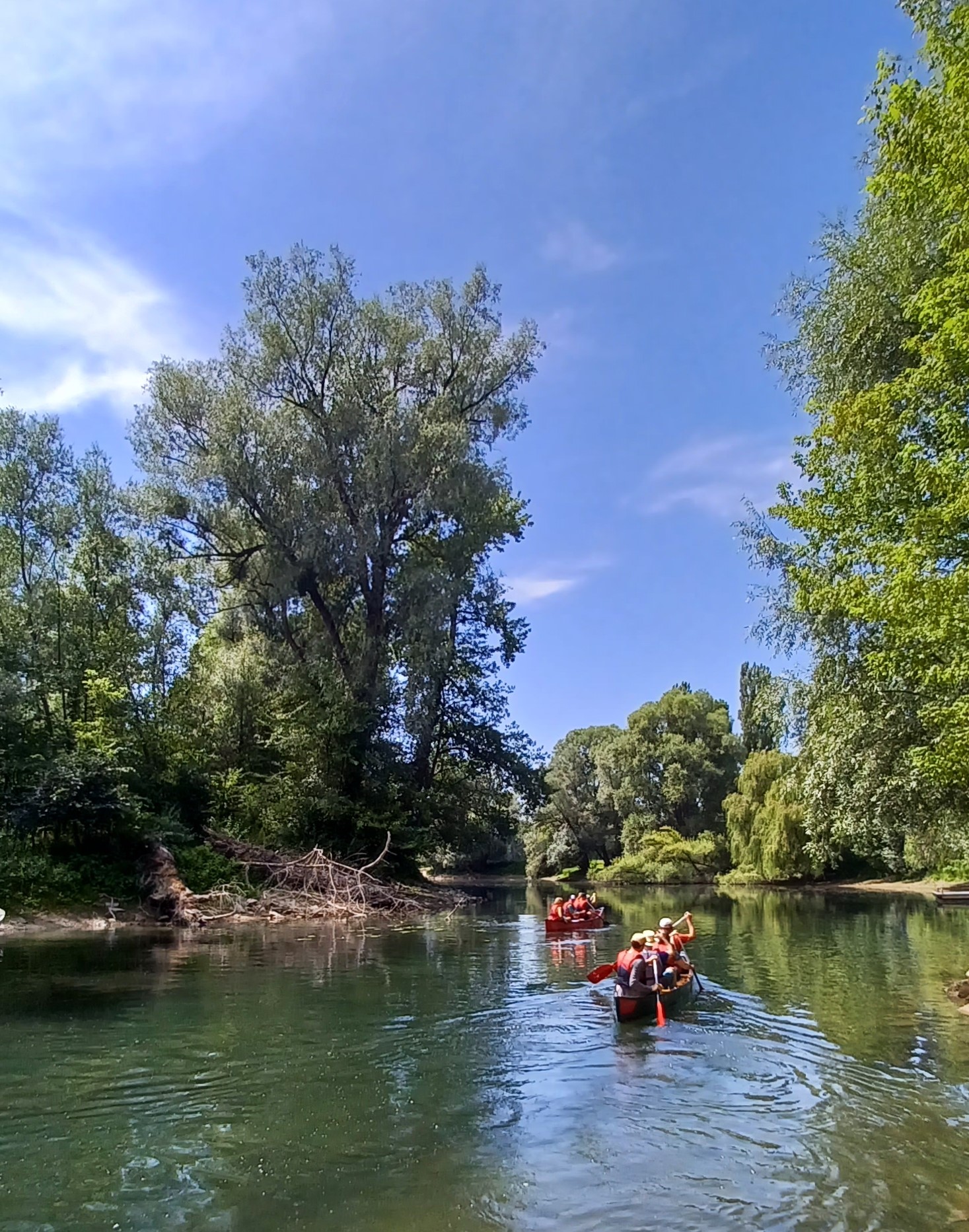 Kanufahrt auf dem Altrhein