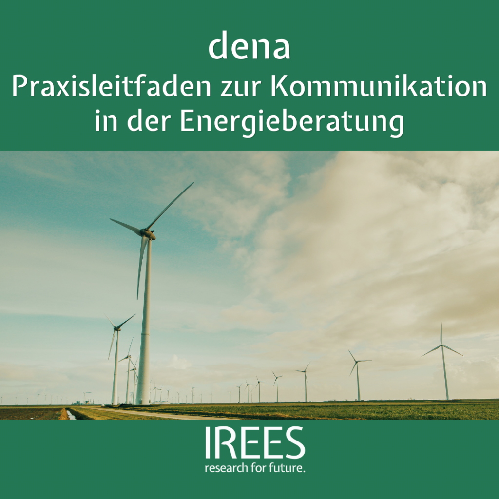 dena Praxisleitfaden